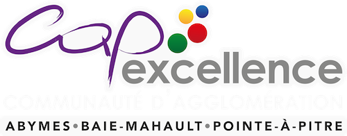 Logo Cap Excellence en pied de page